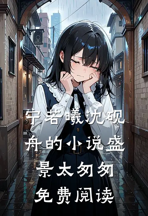 宁若曦沈砚舟的小说盛景太匆匆免费阅读