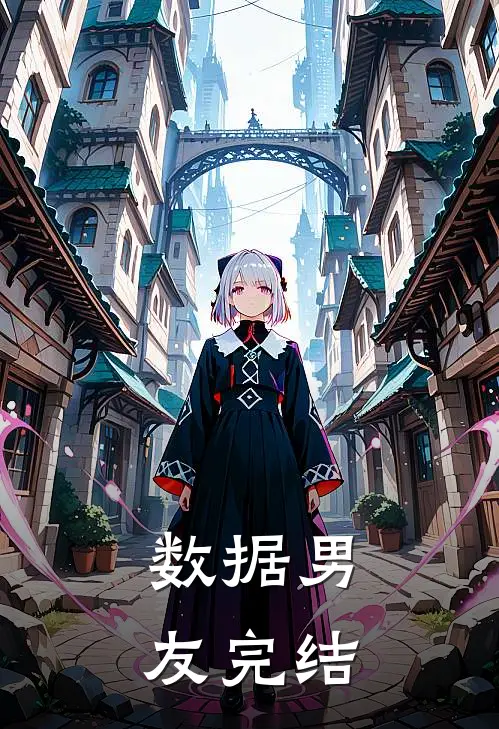 数据男友完结