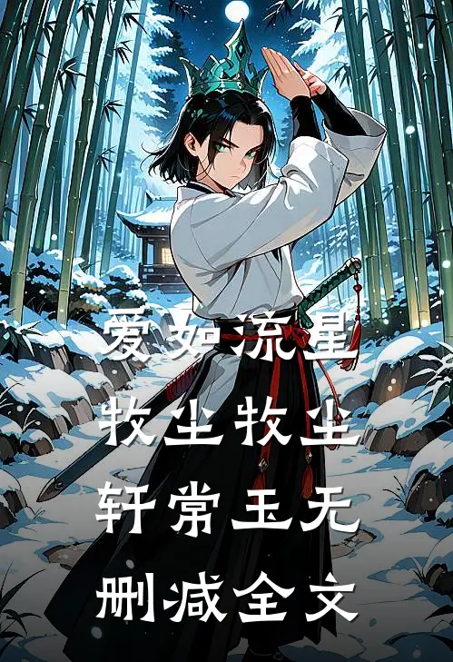 爱如流星牧尘牧尘轩常玉无删减全文