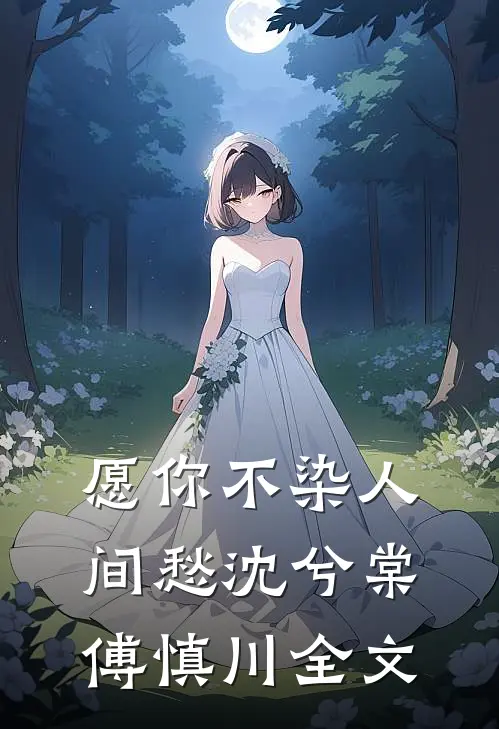 愿你不染人间愁沈兮棠傅慎川全文