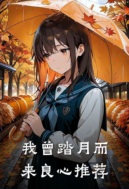 我曾踏月而来良心推荐