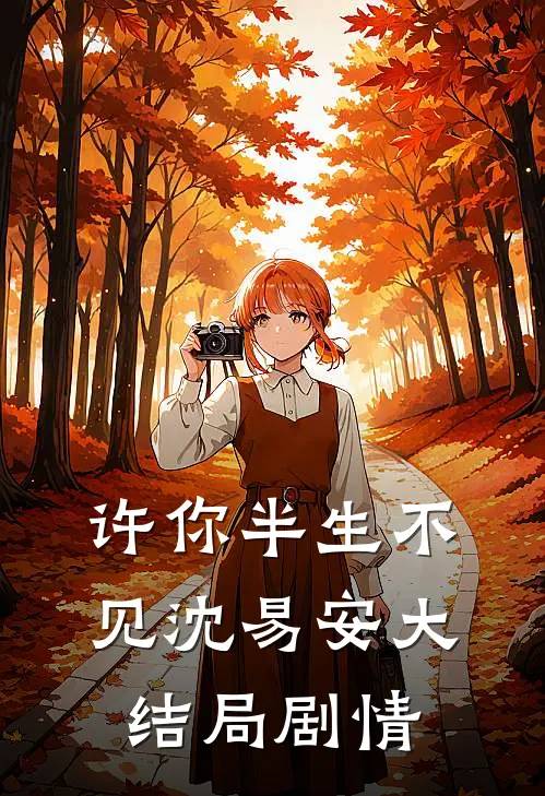 许你半生不见沈易安大结局剧情