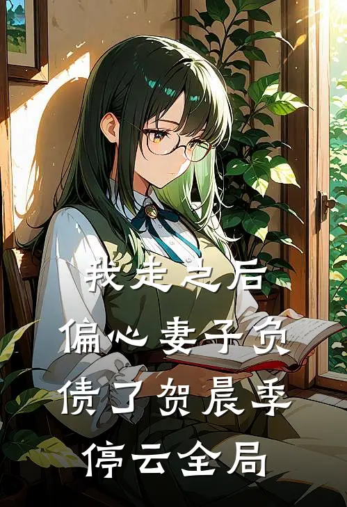 我走之后，偏心妻子负债了贺晨季停云全局