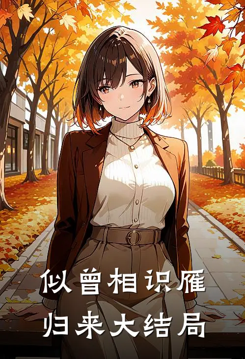 似曾相识雁归来大结局