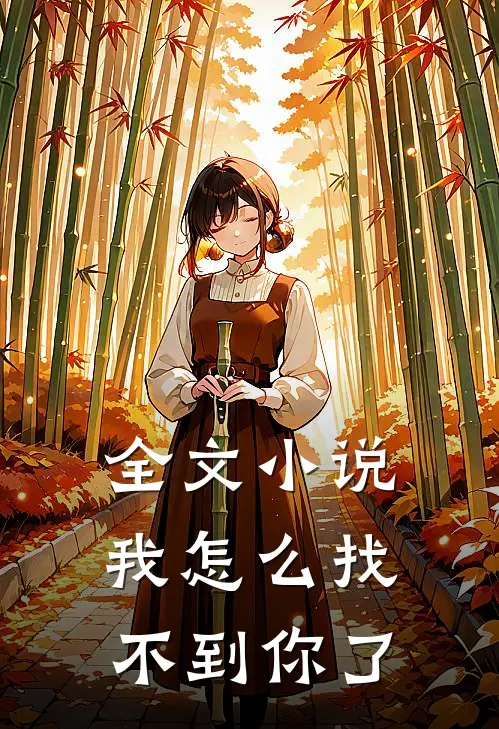 全文小说我怎么找不到你了