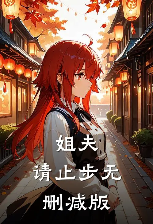 姐夫，请止步无删减版