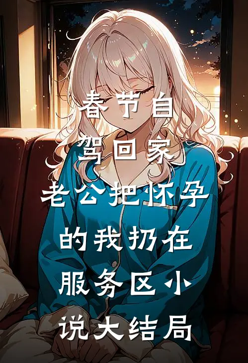 春节自驾回家，老公把怀孕的我扔在服务区小说大结局