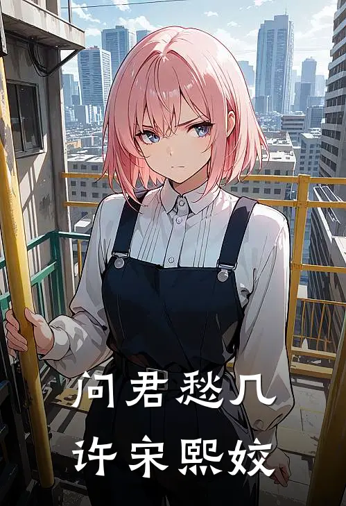 问君愁几许宋熙姣
