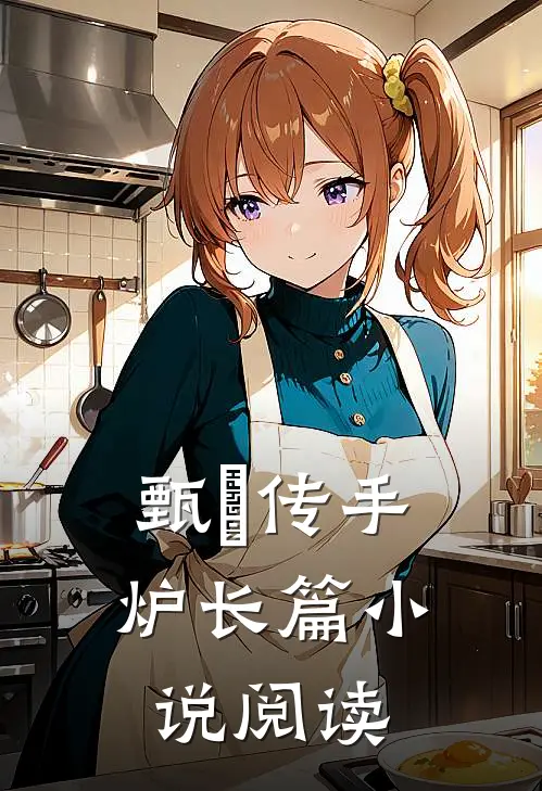 甄嬛传手炉长篇小说阅读