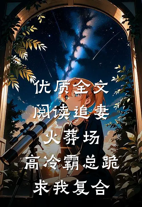 优质全文阅读追妻火葬场：高冷霸总跪求我复合