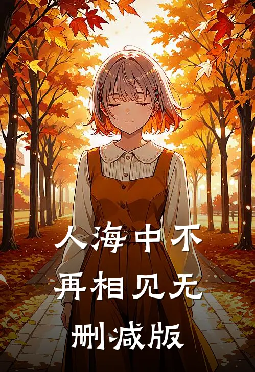 人海中不再相见无删减版
