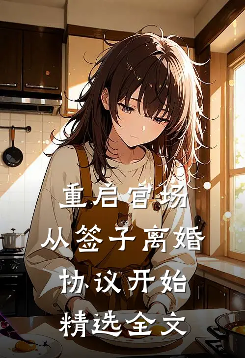 重启官场：从签子离婚协议开始精选全文