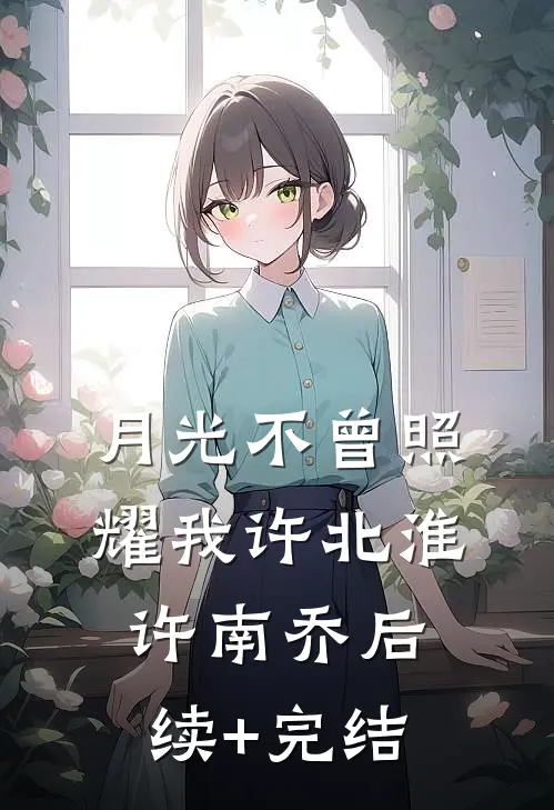 月光不曾照耀我许北淮许南乔后续+完结