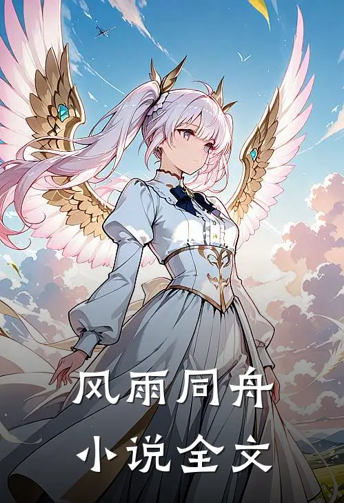 风雨同舟小说全文