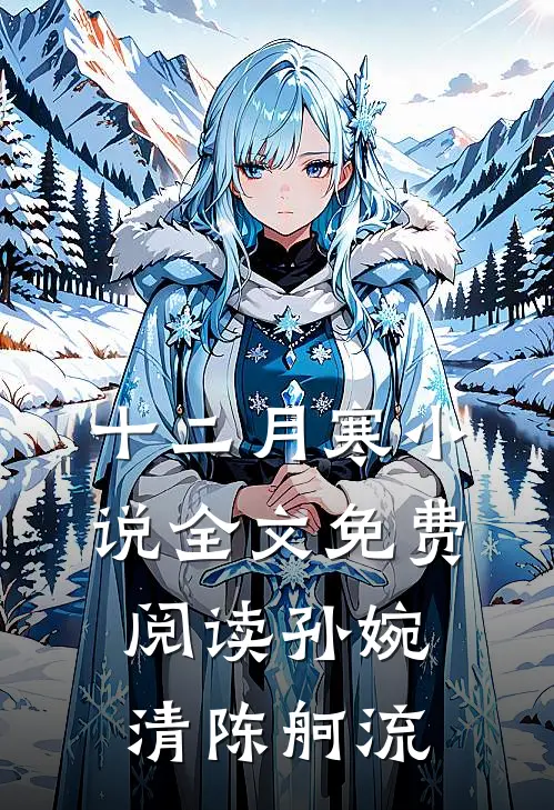 十二月寒小说全文免费阅读孙婉清陈舸流