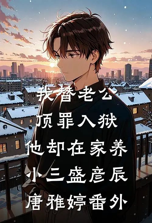 我替老公顶罪入狱，他却在家养小三盛彦辰唐雅婷番外