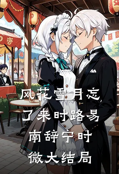 风花雪月忘了来时路易南辞宁时微大结局