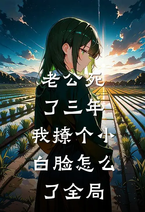 老公死了三年，我撩个小白脸怎么了全局